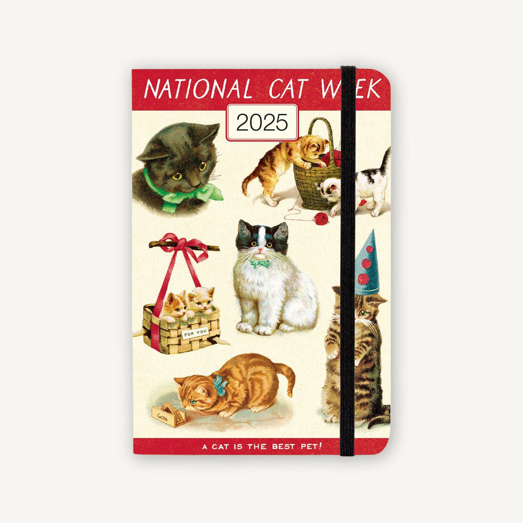 2025 Weekly Planner - Vintage Cats - Live Wires