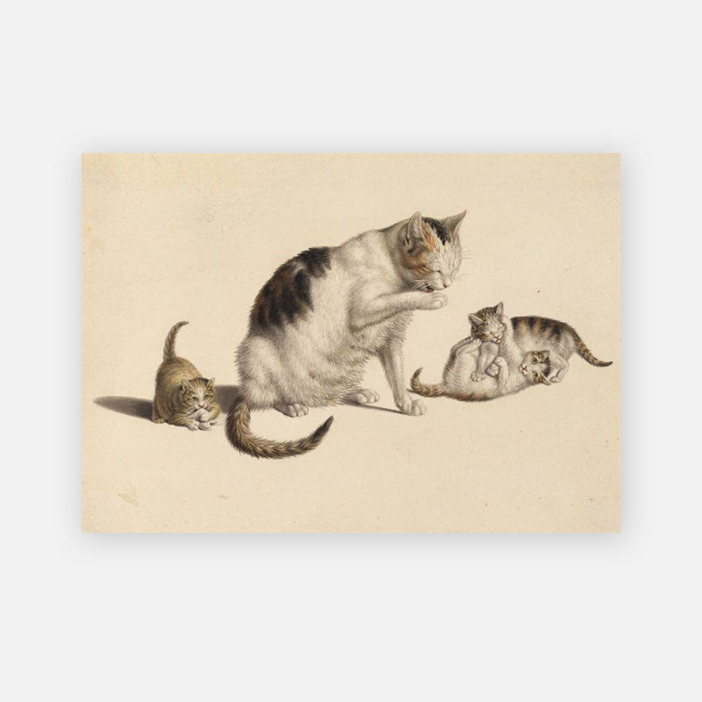 Cat Card - Mother & Kittens - Live Wires