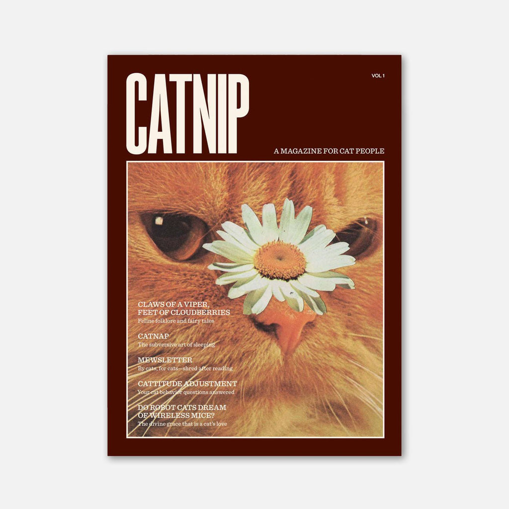 Catnip Magazine - Magnation