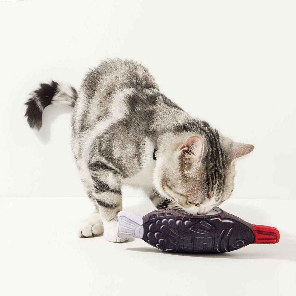 Catnip & Hidden Treat Toy - Soy Sauce Fish - Kashima