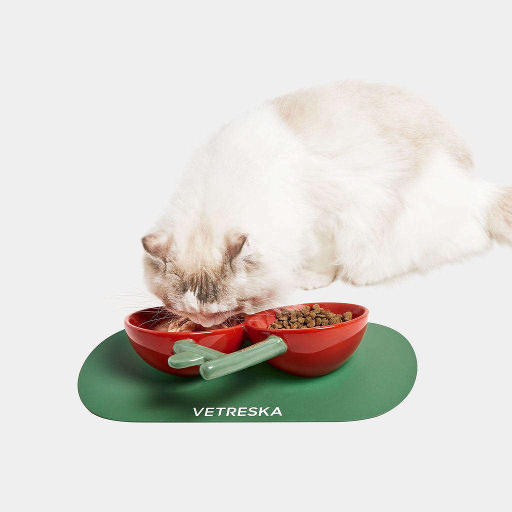 Ceramic Cat Bowl - Cherry with Placemat - Vetreska